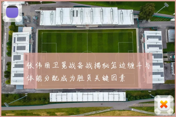 张伟丽卫冕战备战揭秘笼边缠斗与体能分配成为胜负关键因素